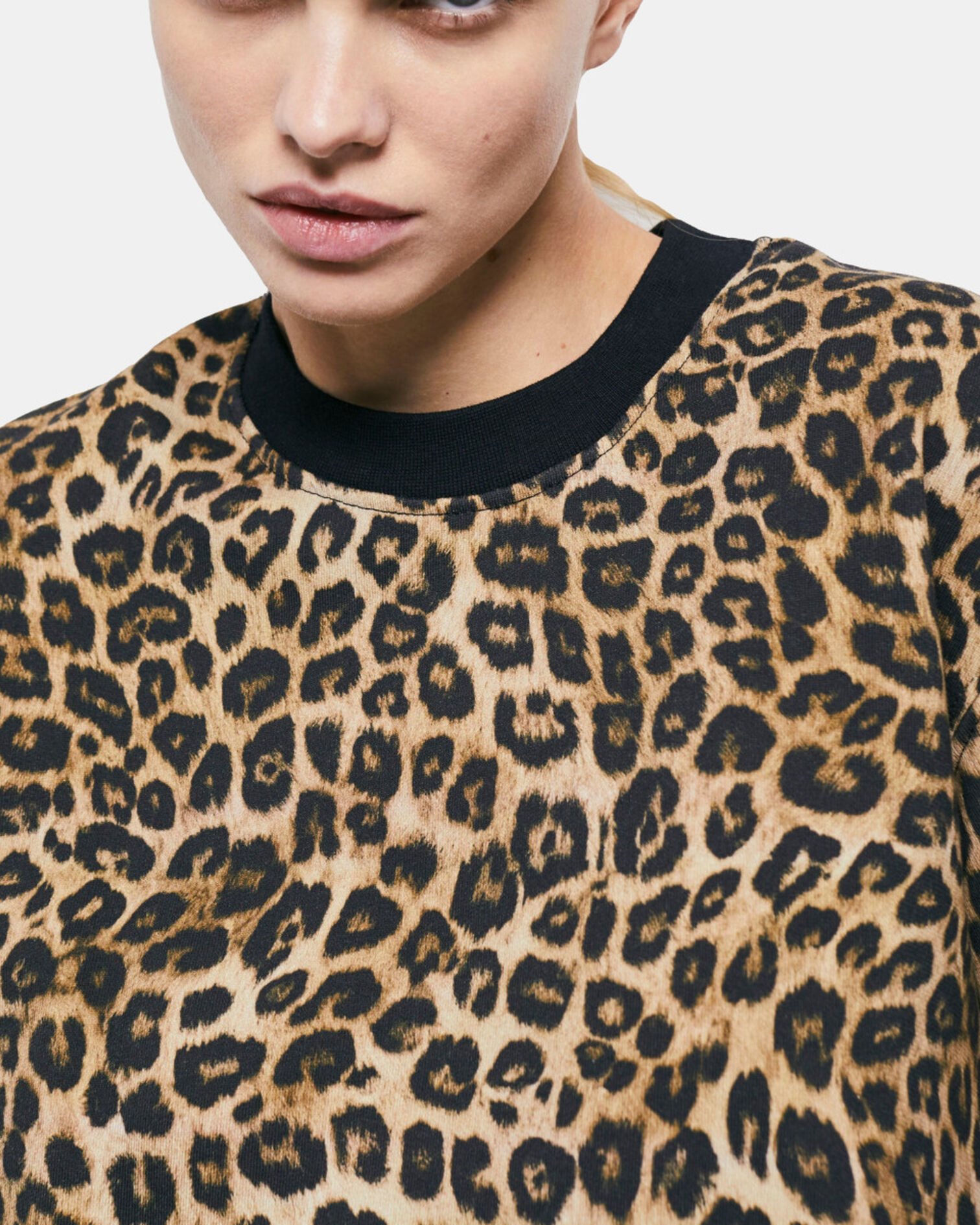 , LEOPARD, hi-res image number null