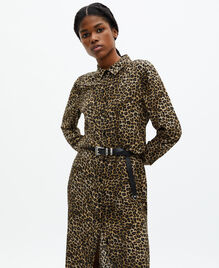 , LEOPARD, hi-res image number null