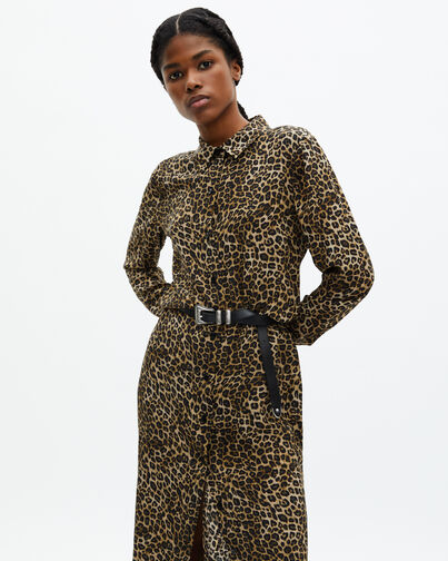 , LEOPARD, hi-res image number null