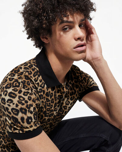 , LEOPARD, hi-res image number null