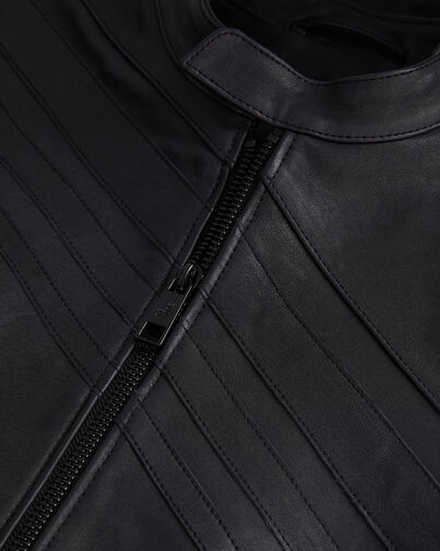 , BLACK, hi-res image number null
