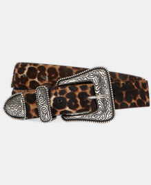 , LEOPARD, hi-res image number null