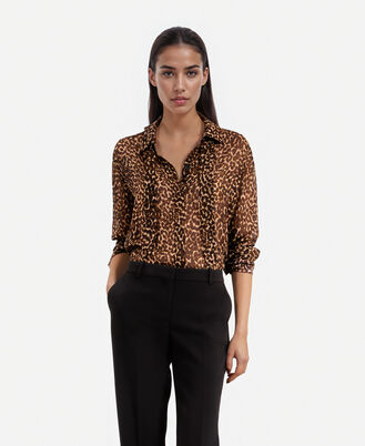 , LEOPARD, hi-res image number null