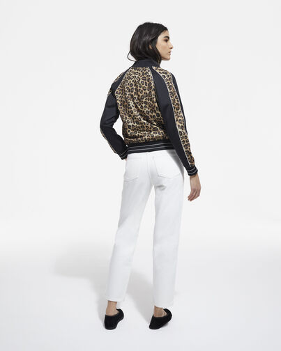 , LEOPARD, hi-res image number null