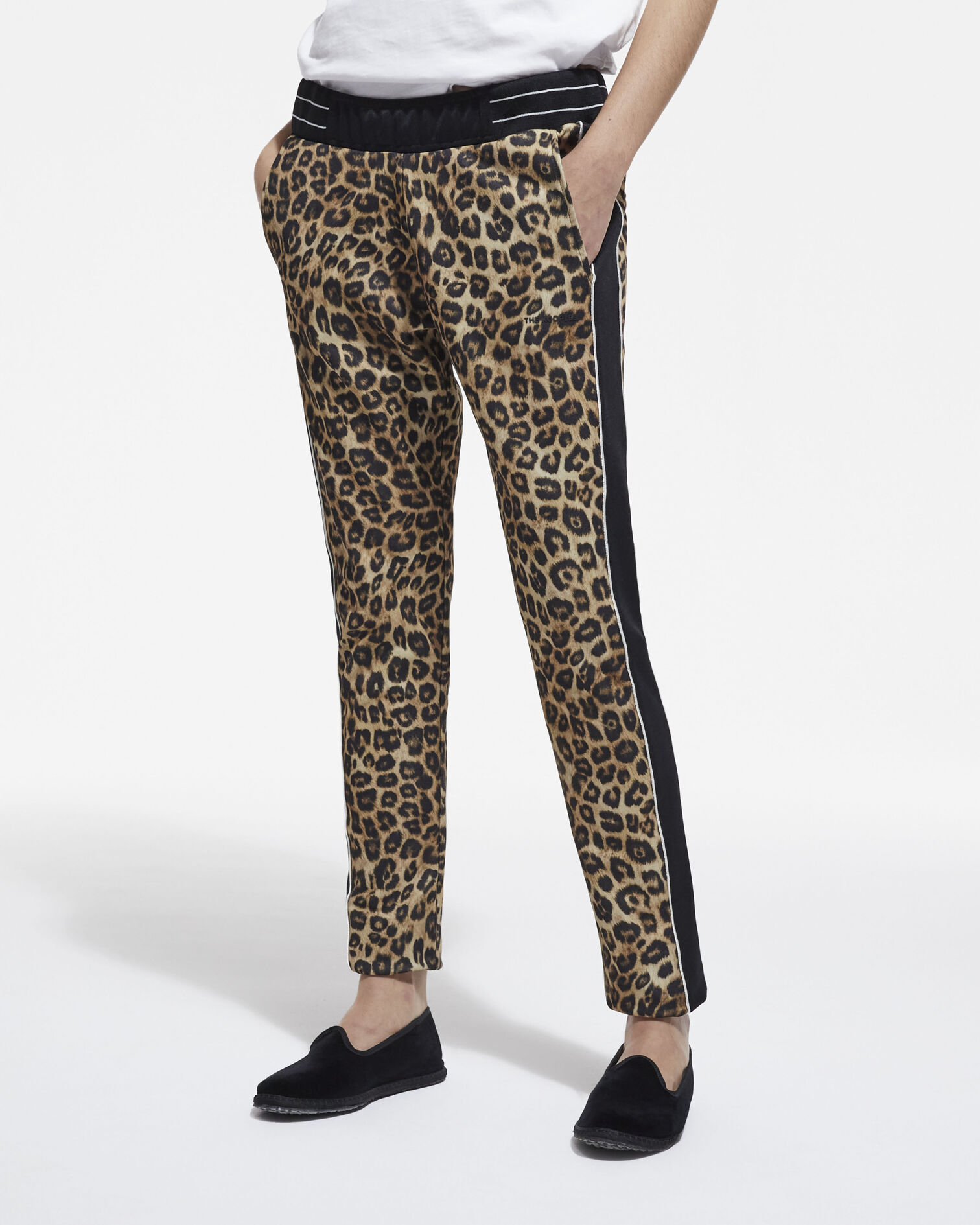 , LEOPARD, hi-res image number null