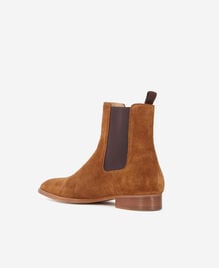 , BROWN, hi-res image number null