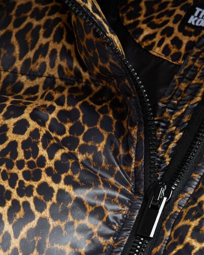 , LEOPARD, hi-res image number null