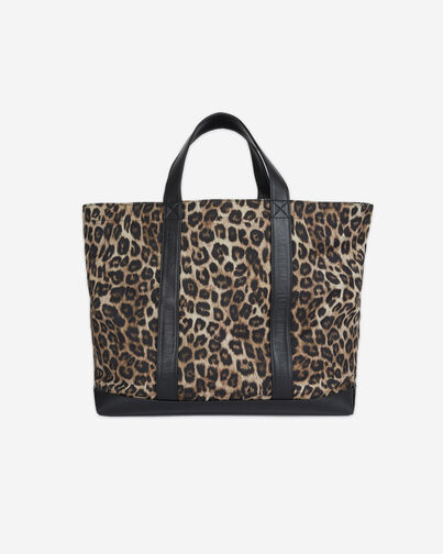 , LEOPARD, hi-res image number null