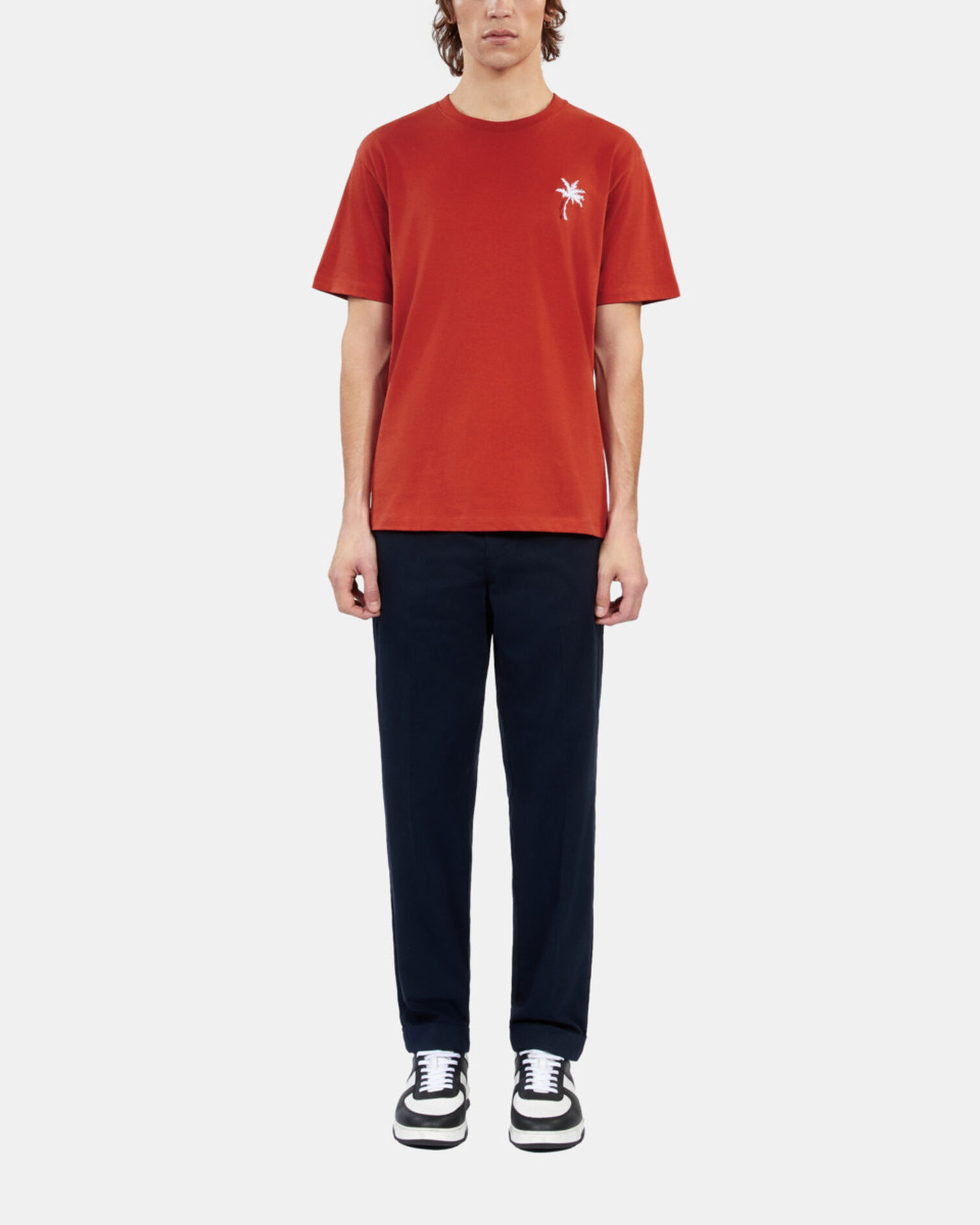 , RED BRIQUE, hi-res image number null