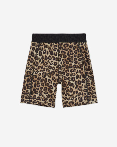 , LEOPARD, hi-res image number null