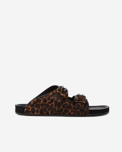 , LEOPARD, hi-res image number null