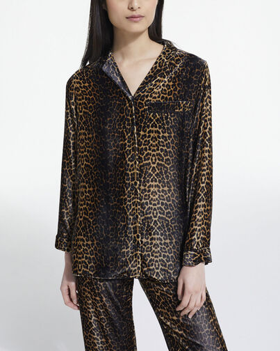 , LEOPARD, hi-res image number null