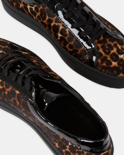 , LEOPARD, hi-res image number null