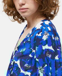 , BLUE, hi-res image number null
