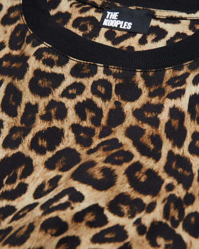 , LEOPARD, hi-res image number null