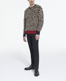 , LEOPARD, hi-res image number null