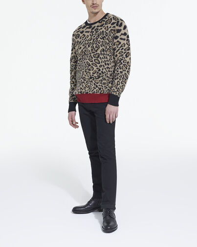 , LEOPARD, hi-res image number null