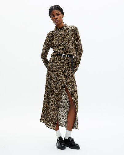 , LEOPARD, hi-res image number null