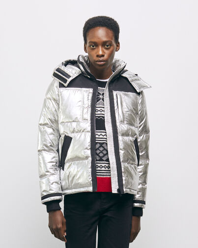 , SILVER, hi-res image number null
