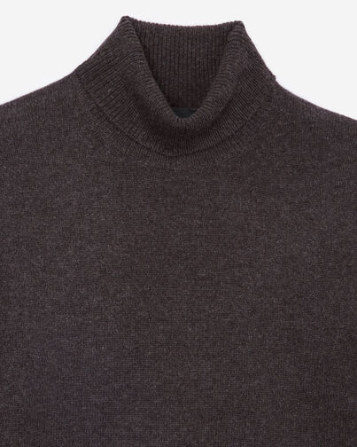 , BROWN, hi-res image number null