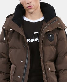 , BROWN, hi-res image number null