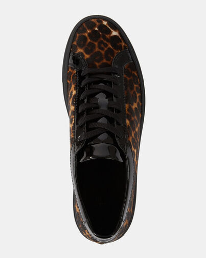 , LEOPARD, hi-res image number null