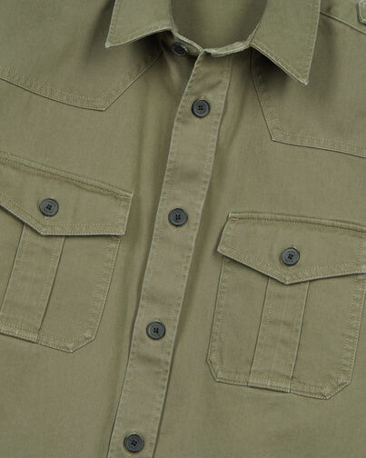 , OLIVE NIGHT, hi-res image number null
