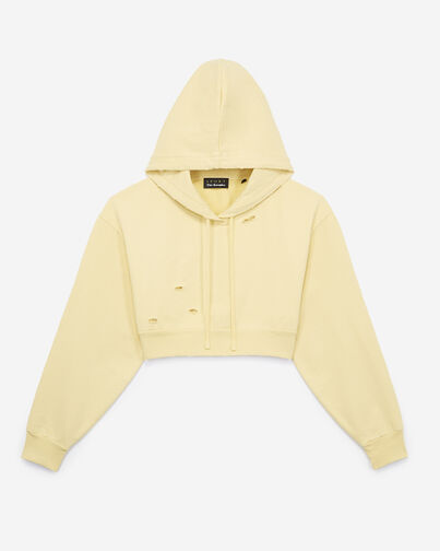 , YELLOW, hi-res image number null