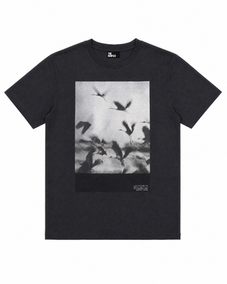 Camiseta con serigraf&iacute;a de p&aacute;jaros, color negro